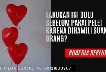 dihamili suami orang